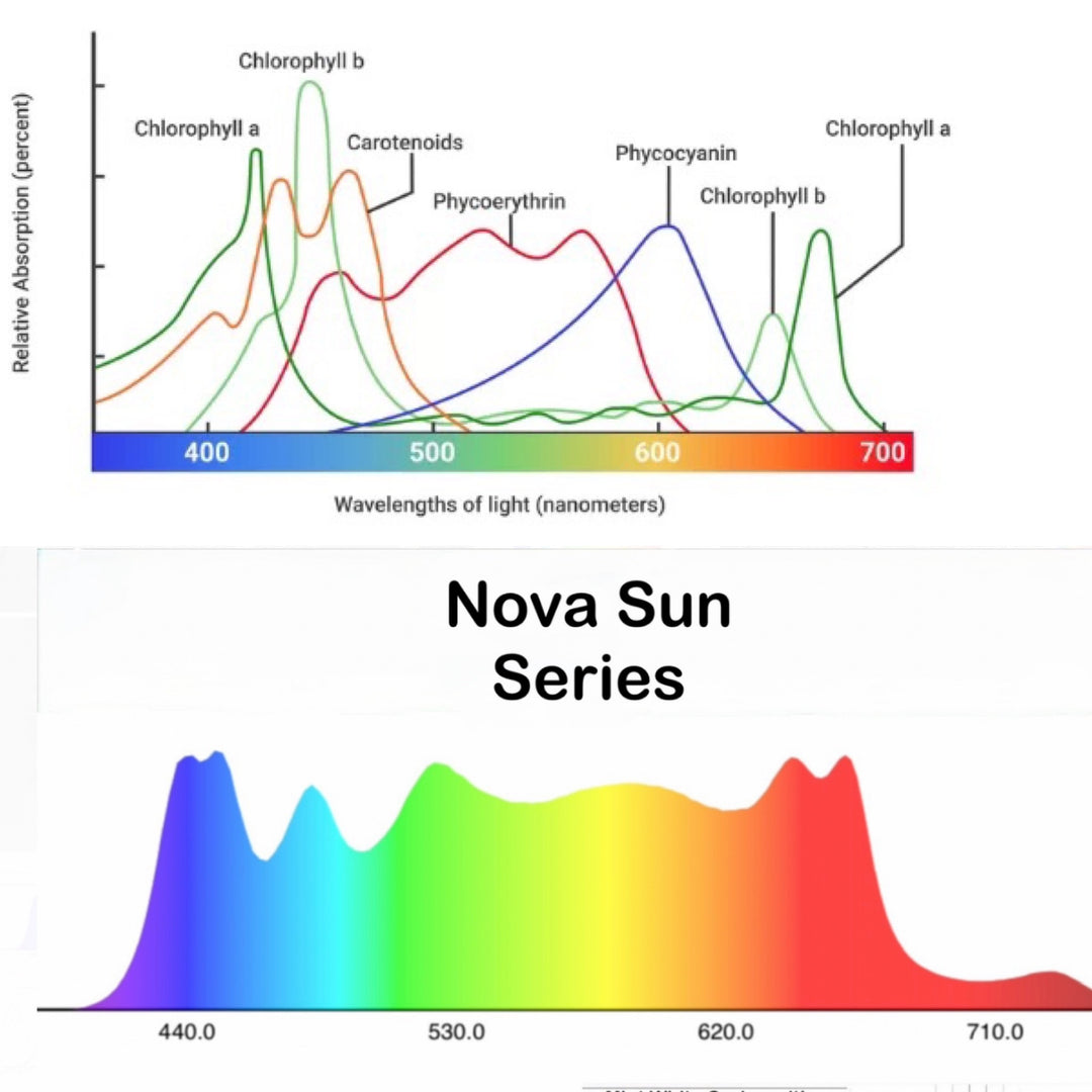 Mammoth Nova Sun Series Full Spectrum Grow Light