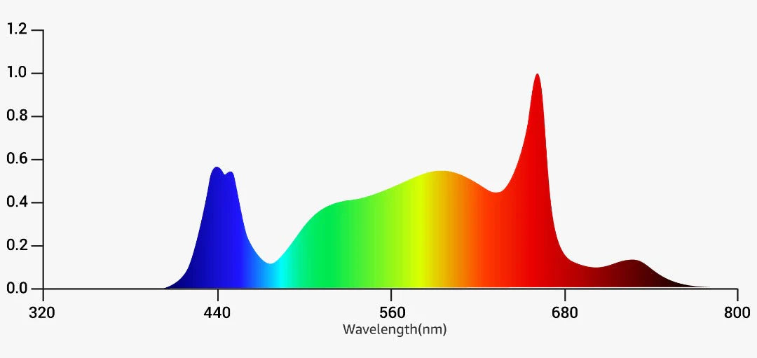 Grand Master LED - Tarantula Torch 730