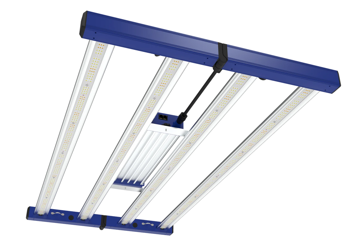 Grand Master LED - Tarantula Revolution 320