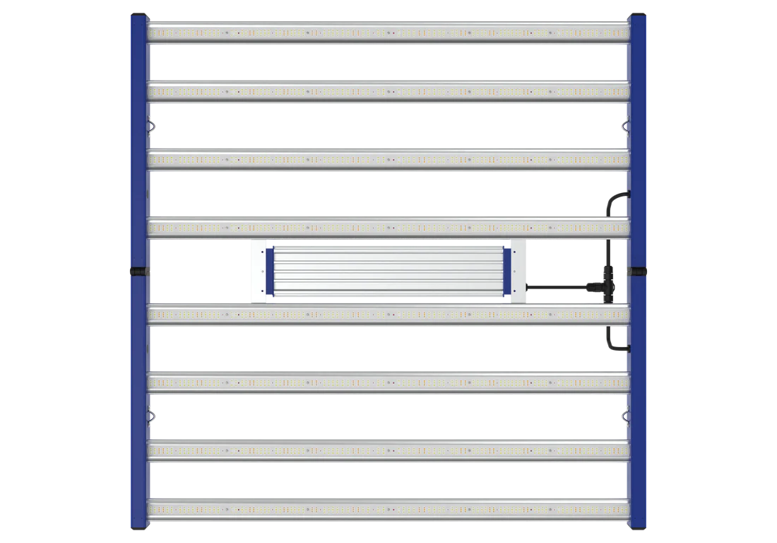 Grand Master LED - Tarantula Torch 730