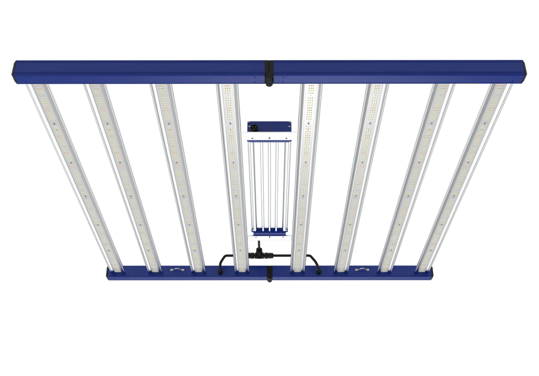 Grand Master LED - Tarantula Torch 730