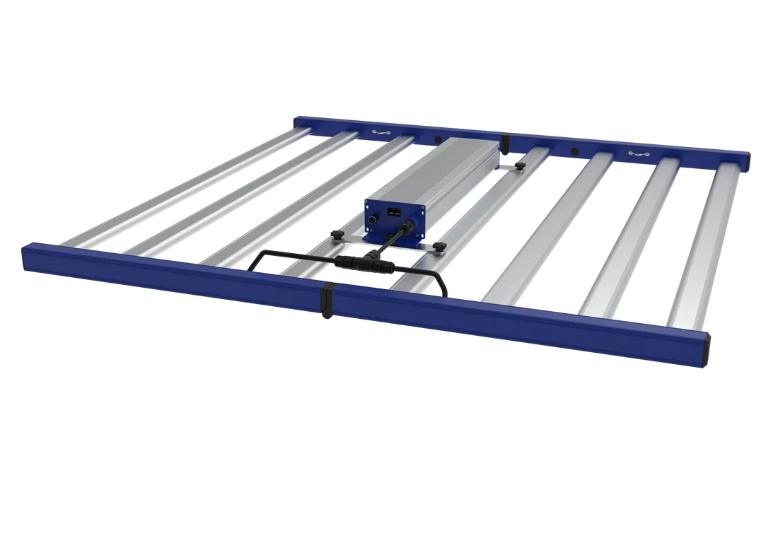 Grand Master LED - Tarantula Torch 730