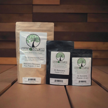 BuildASoil Beauveria Bassiana Plus - Powder