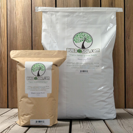 Small Black Lava Rock