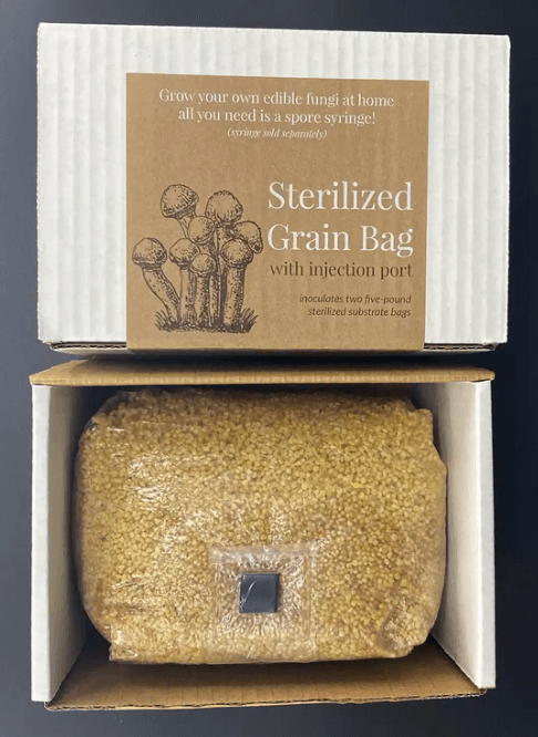 Growing Organic Sterilized Grain Bag W/ Injection Port (3LB)