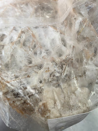 Thumbnail for Blue Oyster Mushroom Straw Log (Living Mulch)