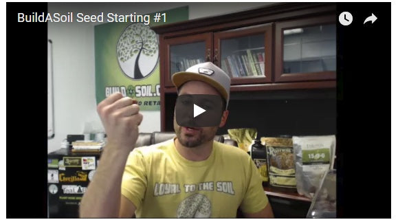 How To Start Cannabis Seeds For Your Grow