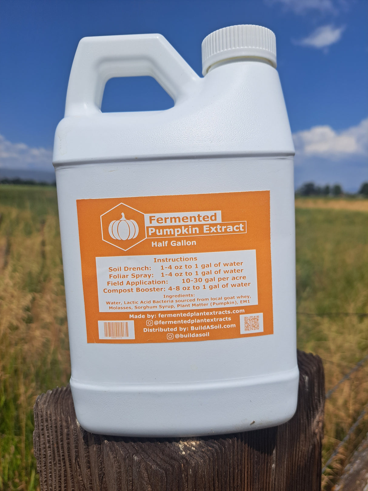 Fermented Plant Extracts: Liquid Pumpkin Extract - Seasonal