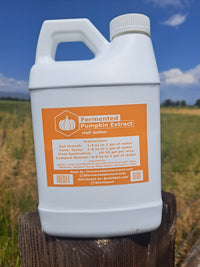 Thumbnail for Fermented Plant Extracts: Liquid Pumpkin Extract - Seasonal