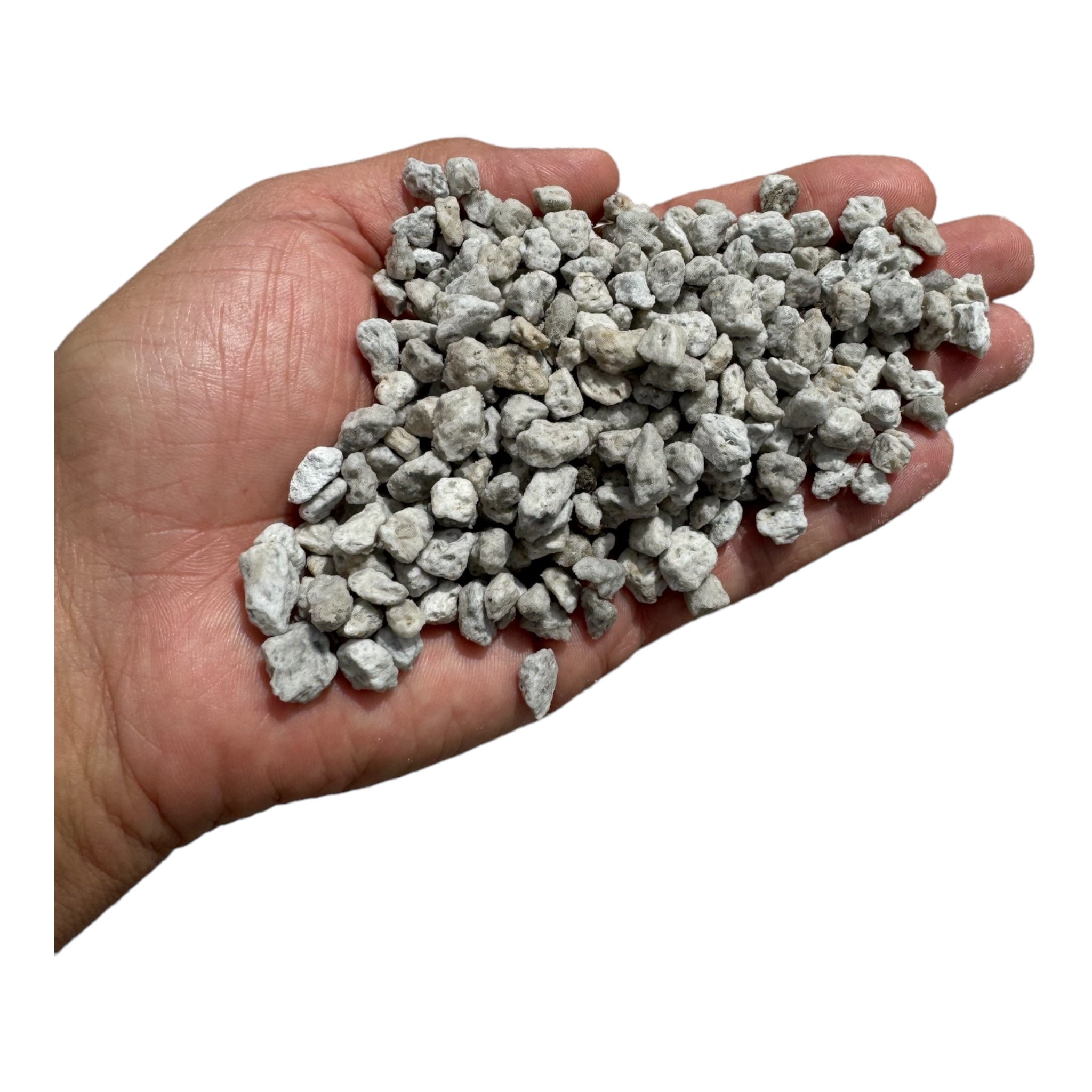 BuildASoil Pumice - Thumbnail 3