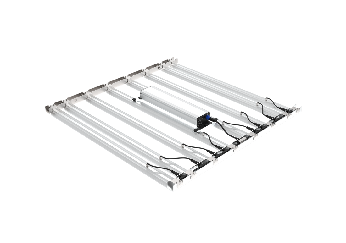 Grand Master - Tarantula Tent Ultimate Grow Light LED – BuildASoil