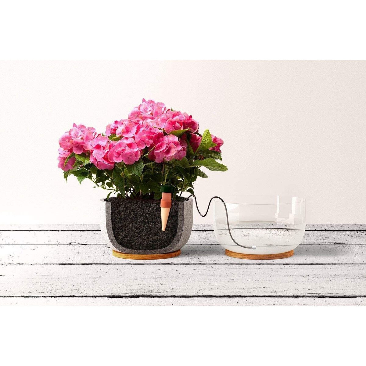 automatic house plant watering BluMat Classic 3-Pack: Effortless Indoor Plant Hydration System – BuildASoil