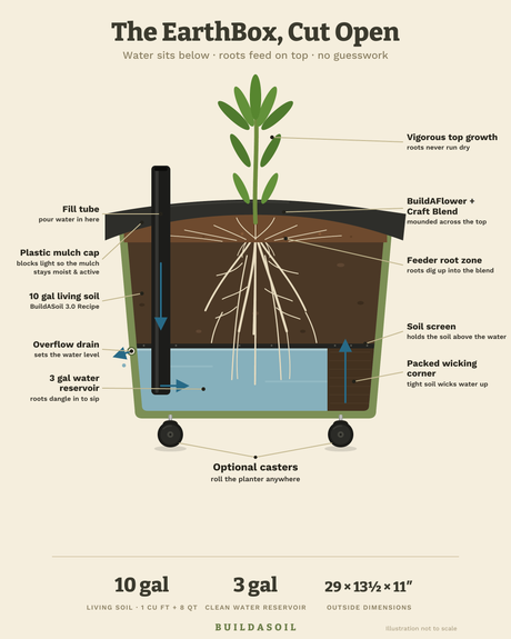 BuildASoil Starter Kit: Earthbox Edition