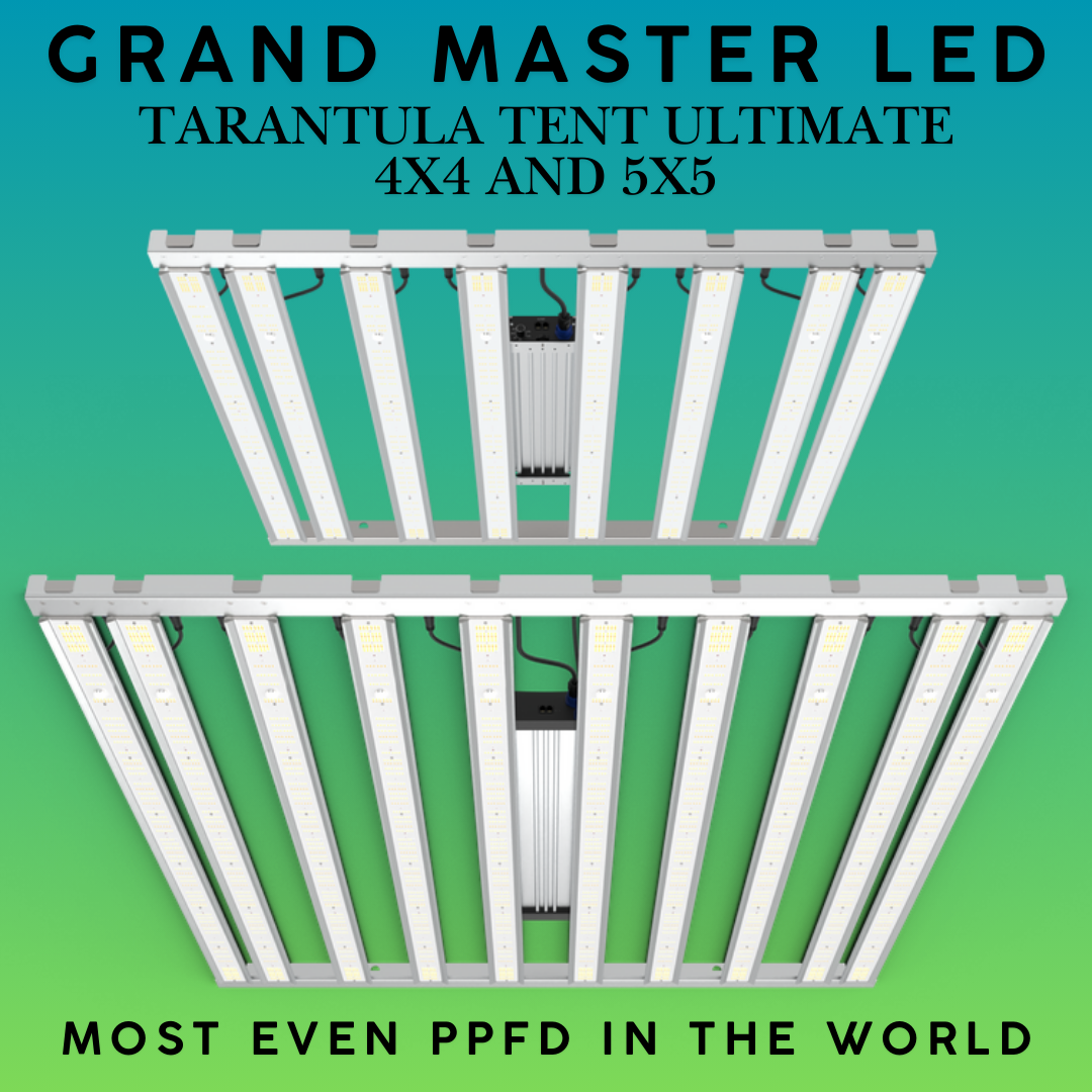 tent led Grand Master