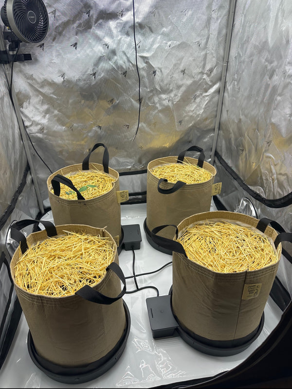 BuildASoil Autopot  XXL Tent Add-On Kit