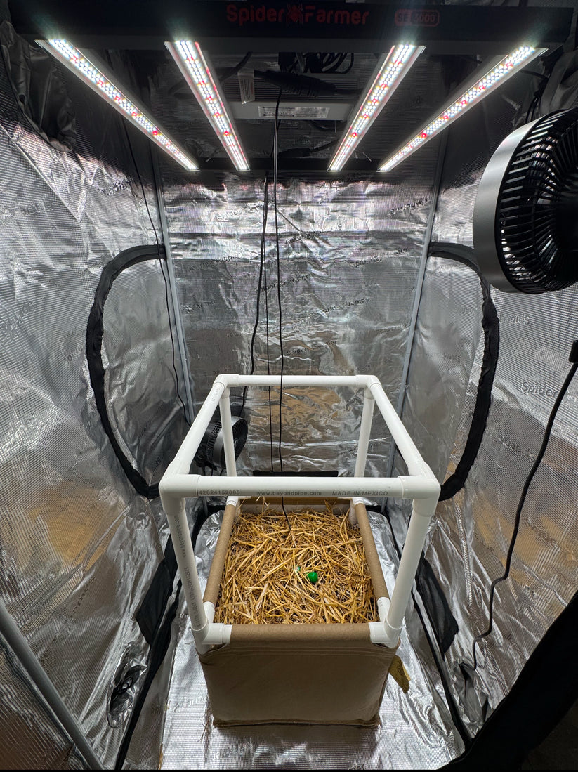 Hobby Grow - Mini Grassroots Living Soil Bed