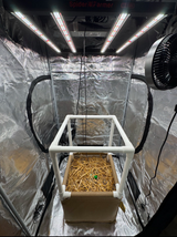 Hobby Grow - Mini Grassroots Living Soil Bed