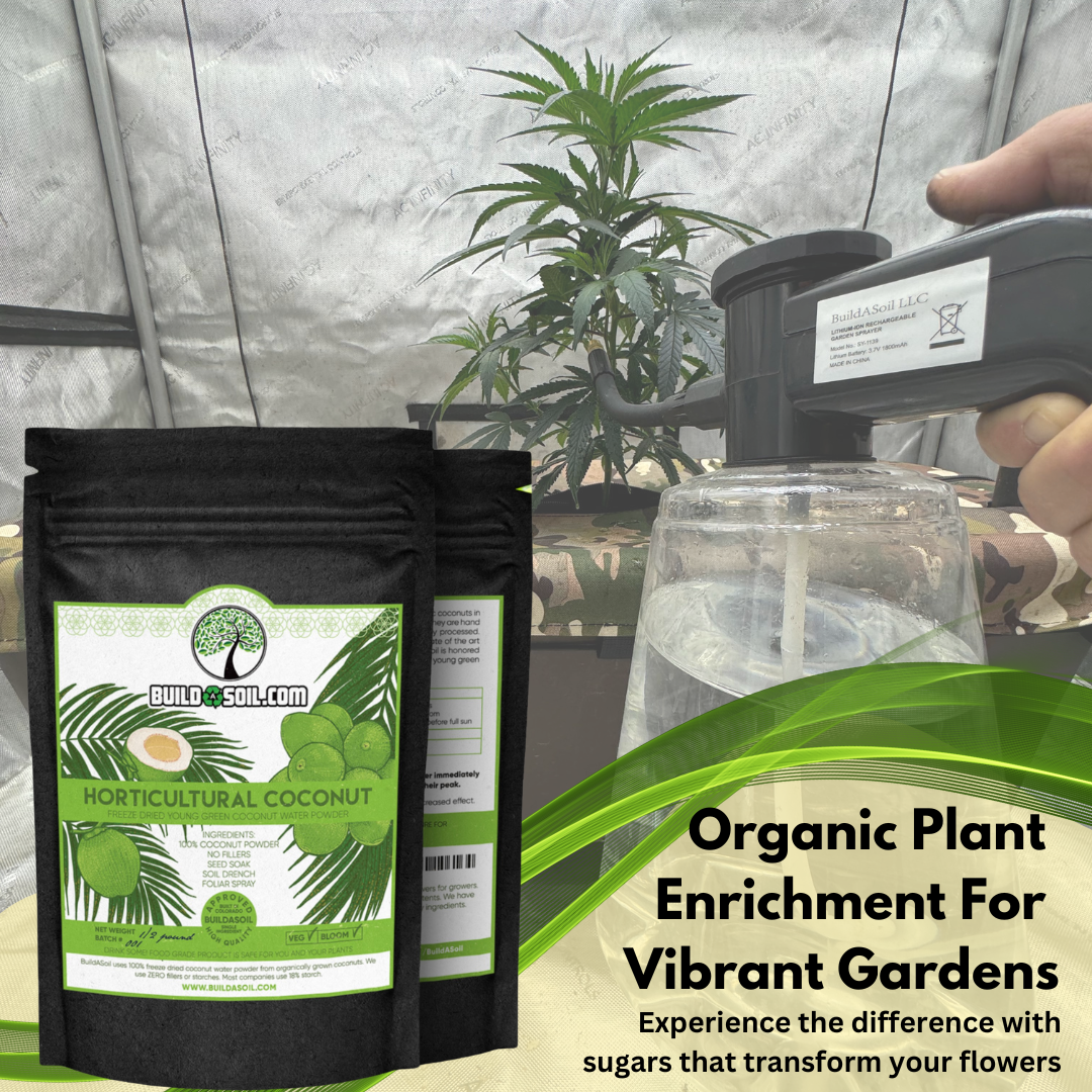 Coconut Water Powder - Raw Freeze Dried Organic