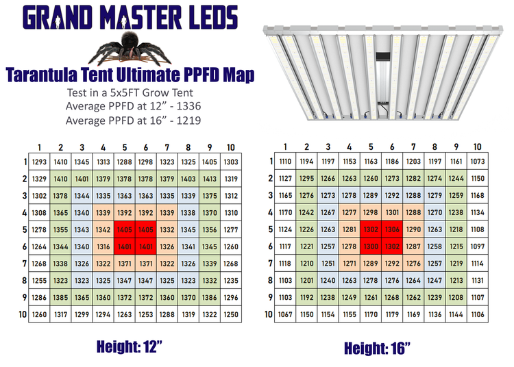 tarantula tent ultimate Grand Master