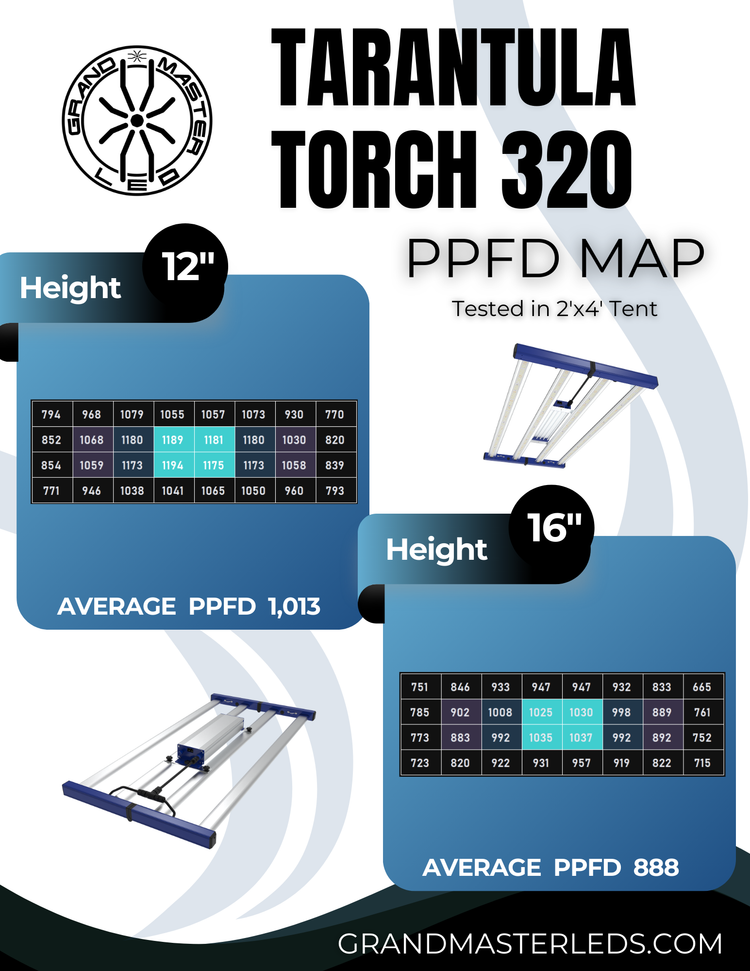 Grand Master LED - Tarantula Torch 320