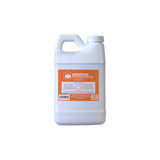 Fermented Plant Extracts: Liquid Pumpkin Extract - Seasonal