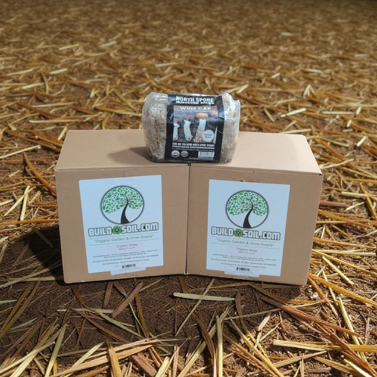 BuildASoil Wine Cap Mushroom Garden Bed Kit