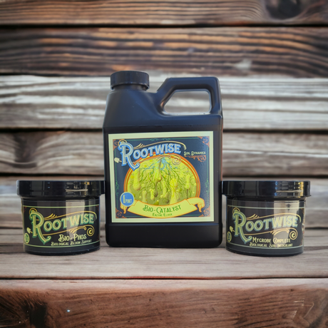 Rootwise Combo Pack - 3 Product Bundle