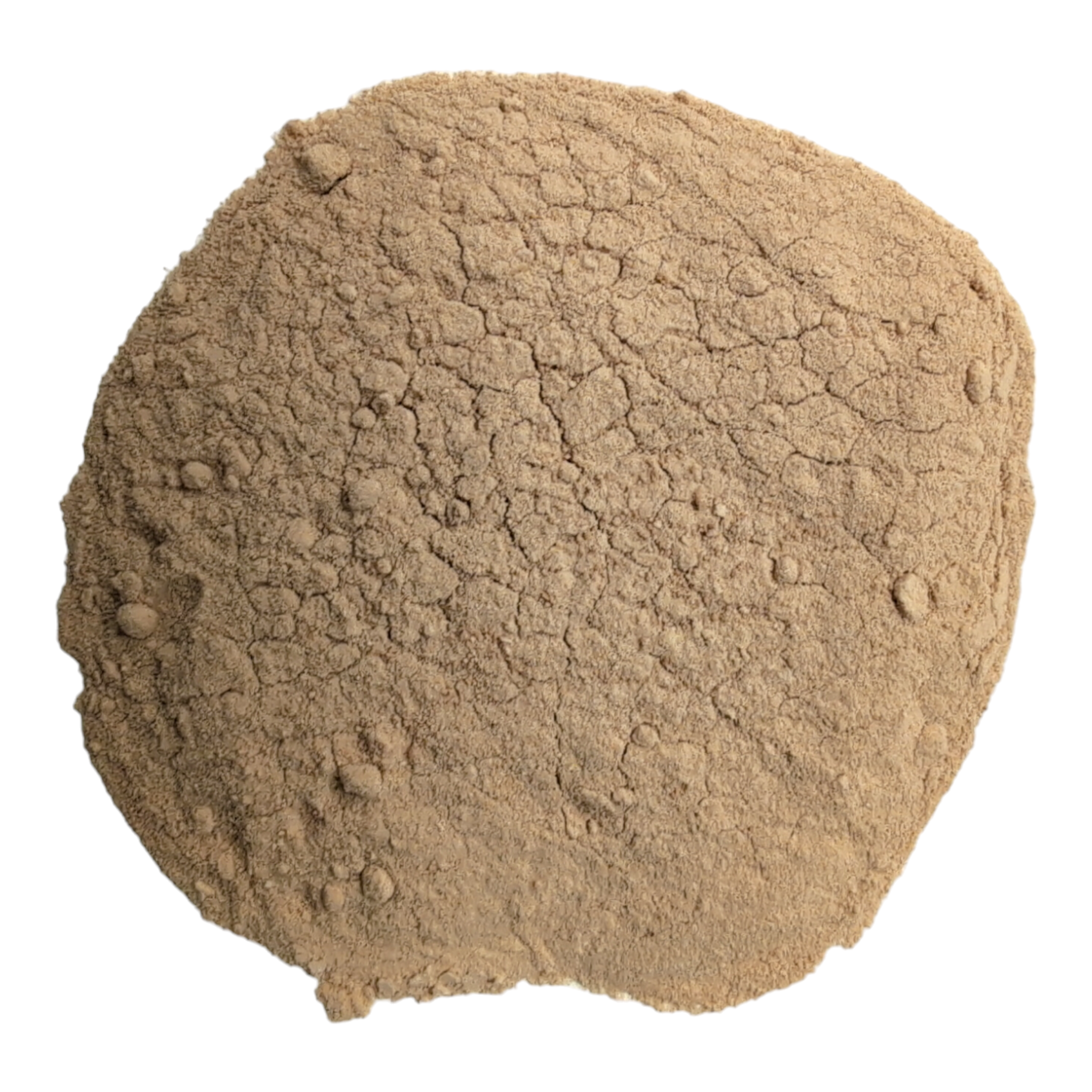 BuildASoil Quillaja Saponaria Extract Powder - Thumbnail 2