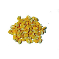 Thumbnail for Yellow Corn Seed - Heirloom Organic For Sprouted Seed Tea