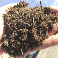 Thumbnail for Colorado Pinto Bean Compost
