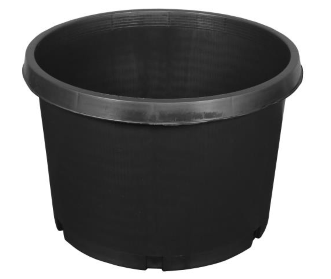 one gallon plastic planting pots 1 Gallon Premium Nursery Pots - Injection Molded