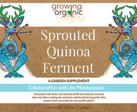 Thumbnail for Sprouted Quinoa Ferment