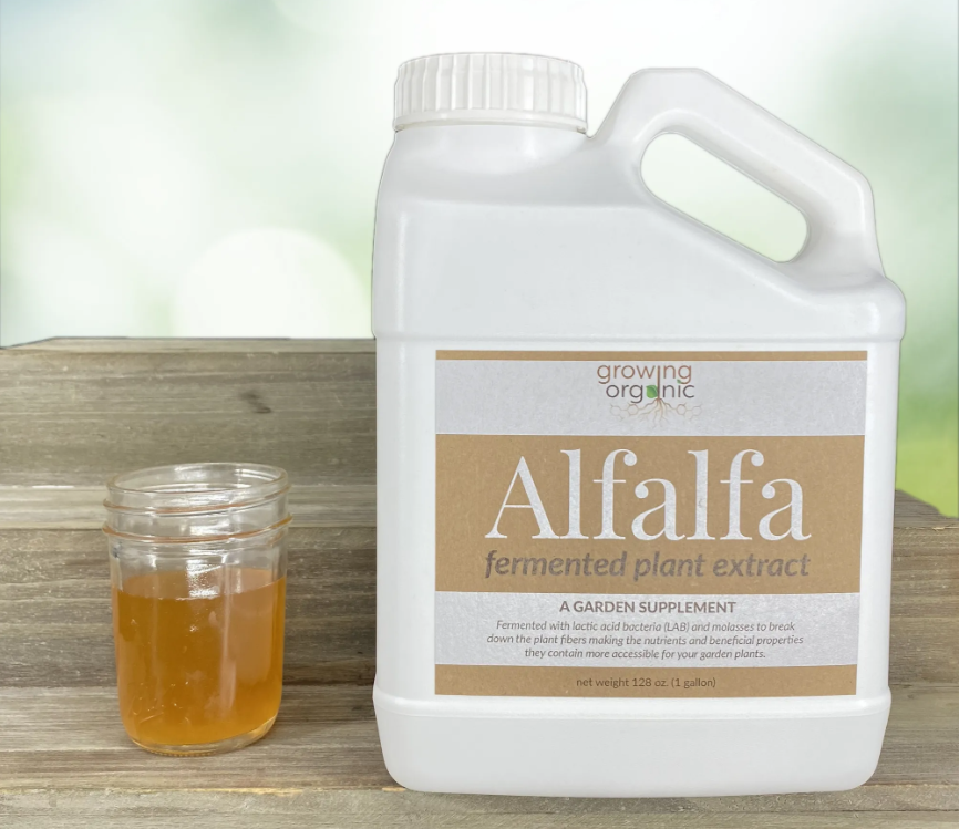 Growing Organic - ALFALFA Fermented Plant Extract