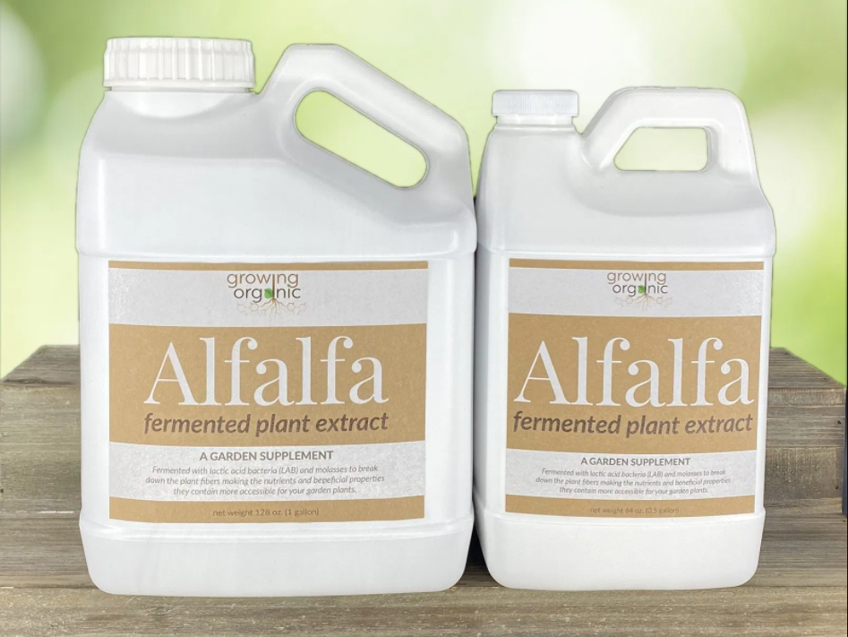 Growing Organic - ALFALFA Fermented Plant Extract