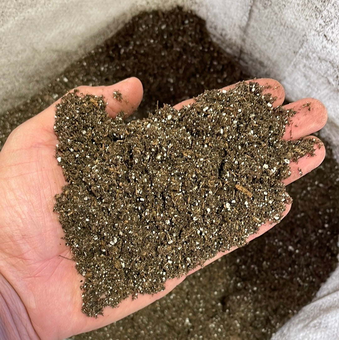 BuildASoil Heady Start Seedling Soil Recipe